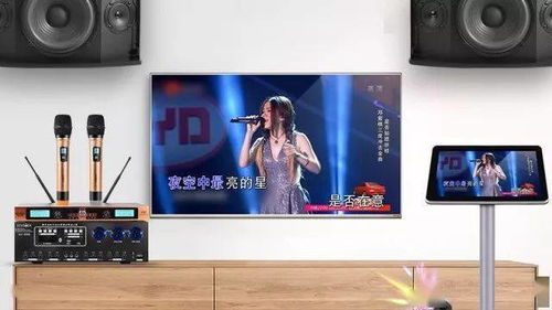 電視機 機頂盒 電腦能取代ktv音響設備中的點歌機嗎